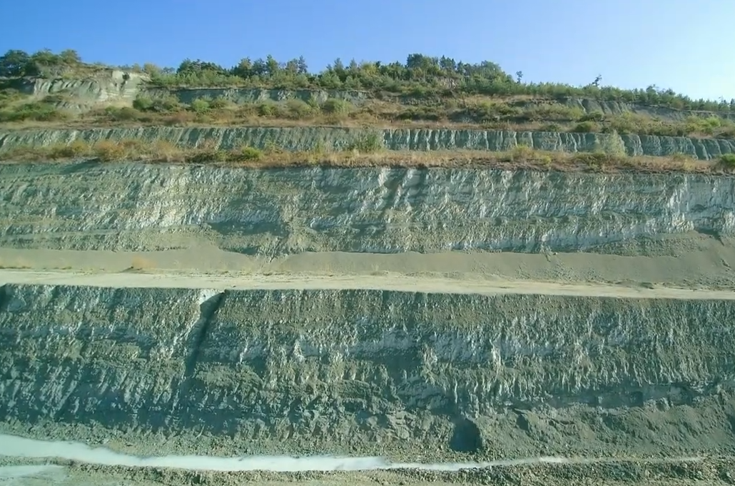 Carbón Natural Vegetal