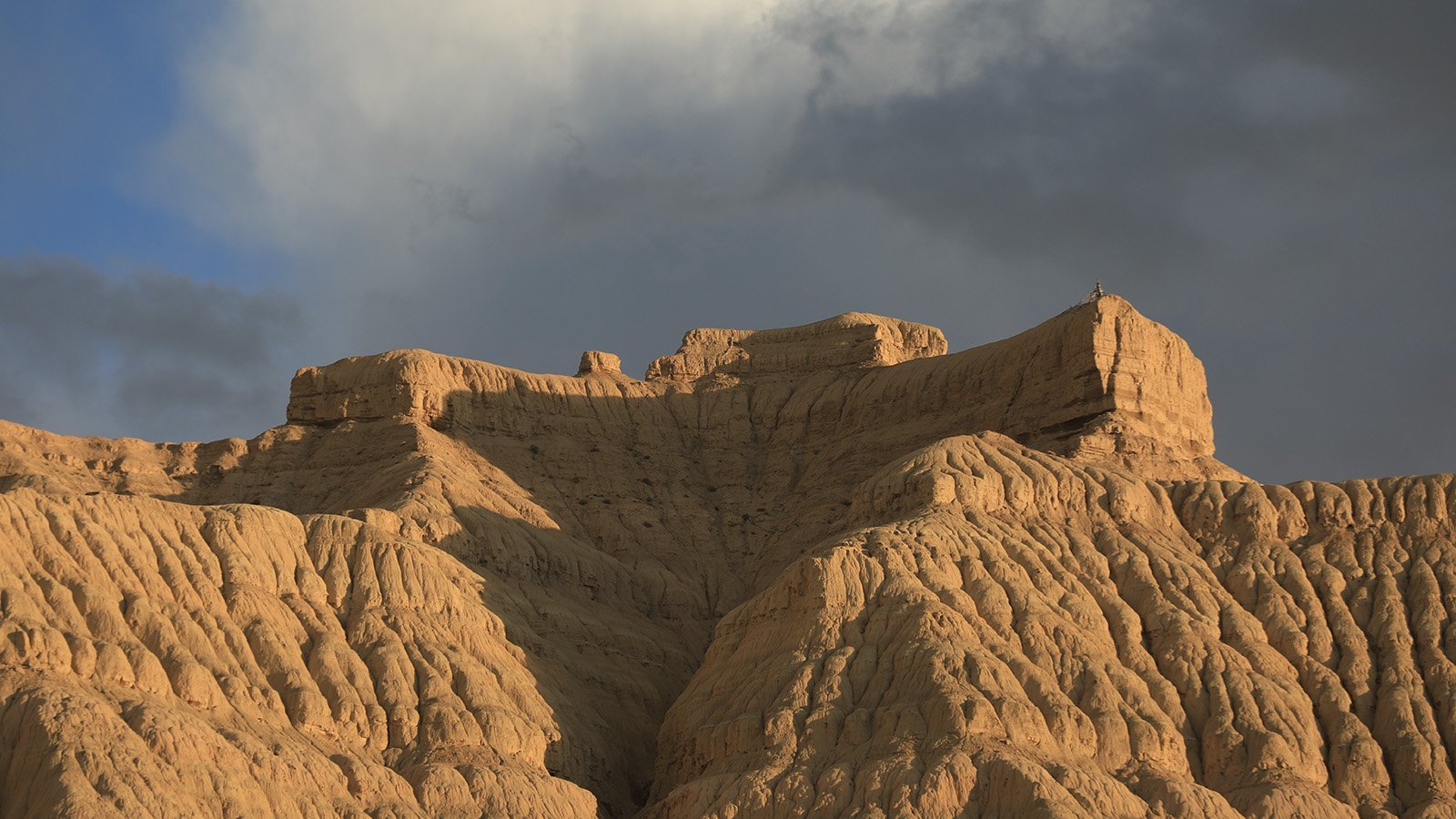 Carbón Natural Vegetal