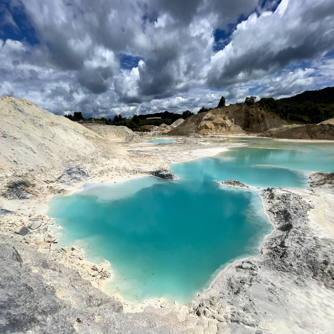 Carbón Natural Vegetal